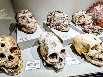 museo antonini-dos