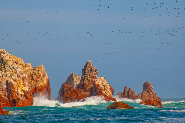 Lots of birds on Ballestas Islands national reserve, Paracas, Peru