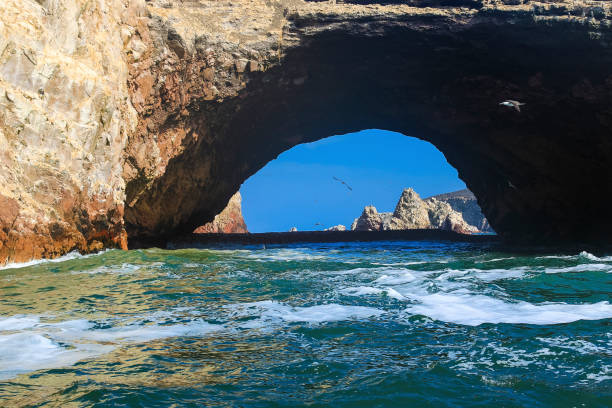 Paracas